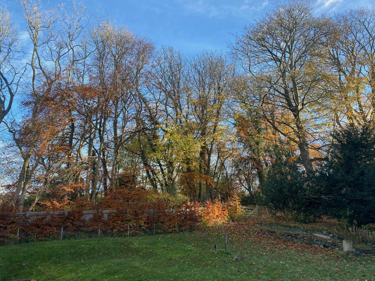 Mill Cottage Garden Studio Nr Melrose Extérieur photo